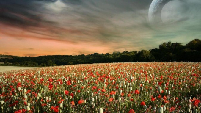 到底有什么是 Node.js 无法实现的？